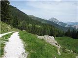 Monte Scinauz pogled nazaj z planine Auernig (Javornik)